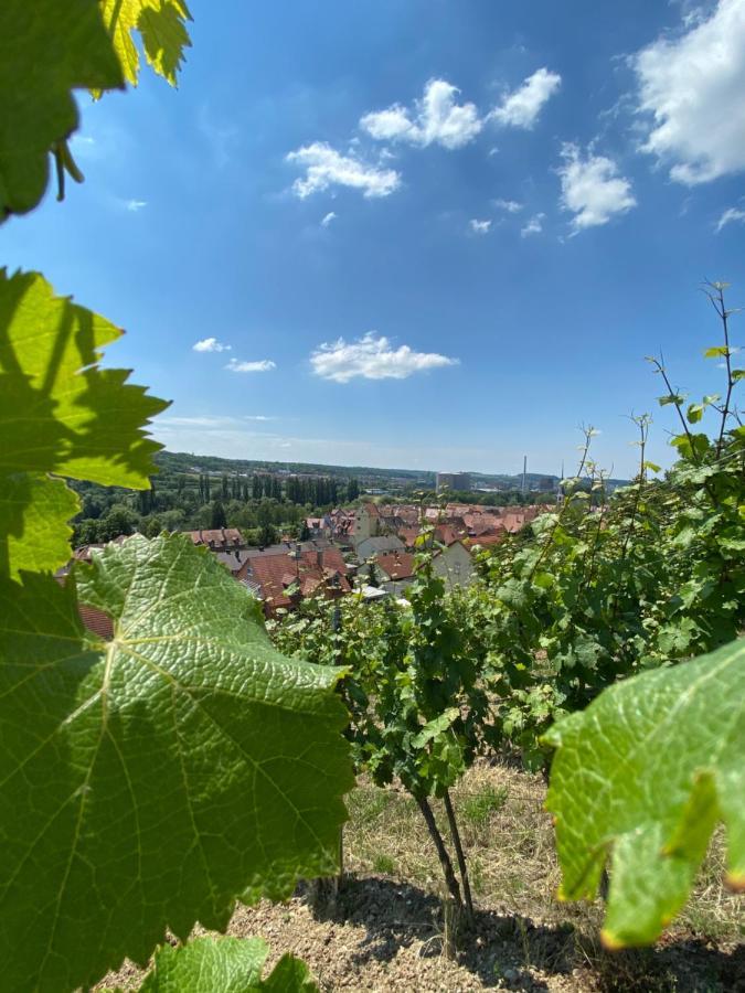 Ferienwohnung Wohlsein Frickenhausen am Main Bagian luar foto